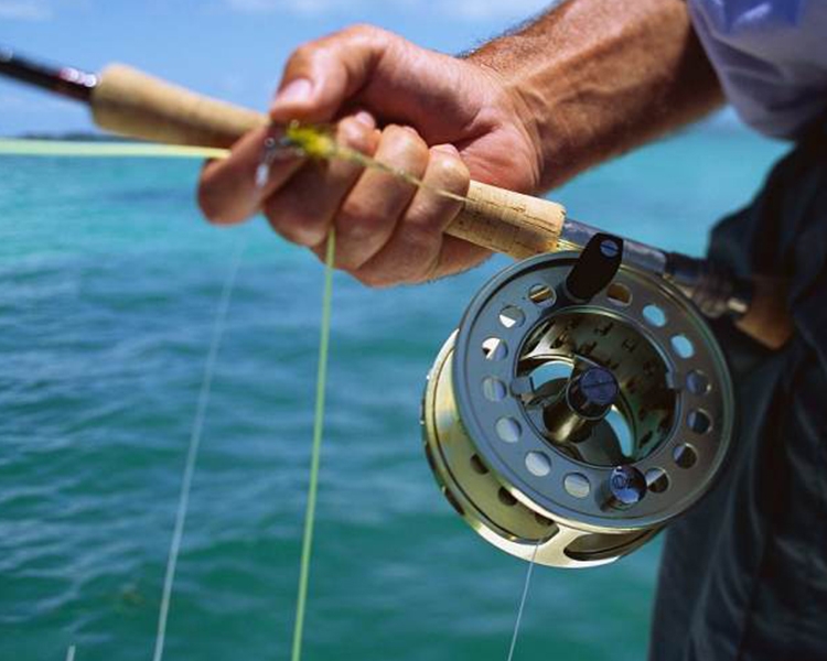 翔茗渔具分享： 4种常见渔具的保养
